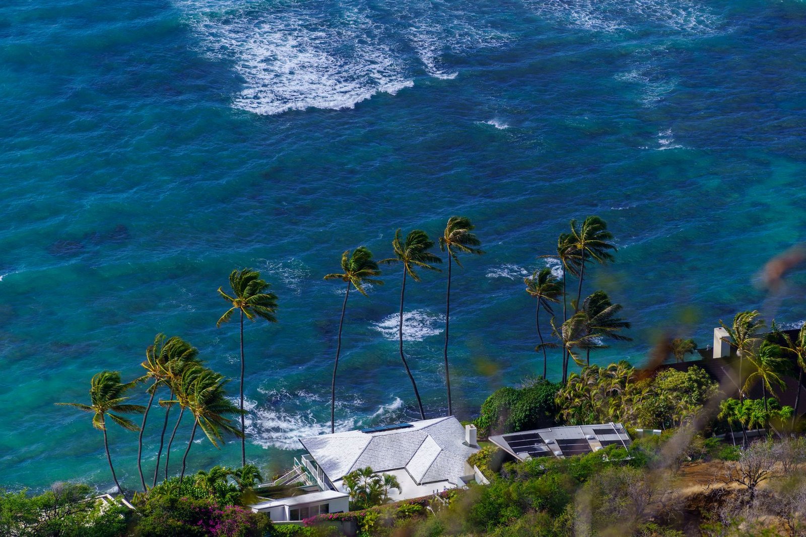 Oceanfront Maui home framed by palm trees