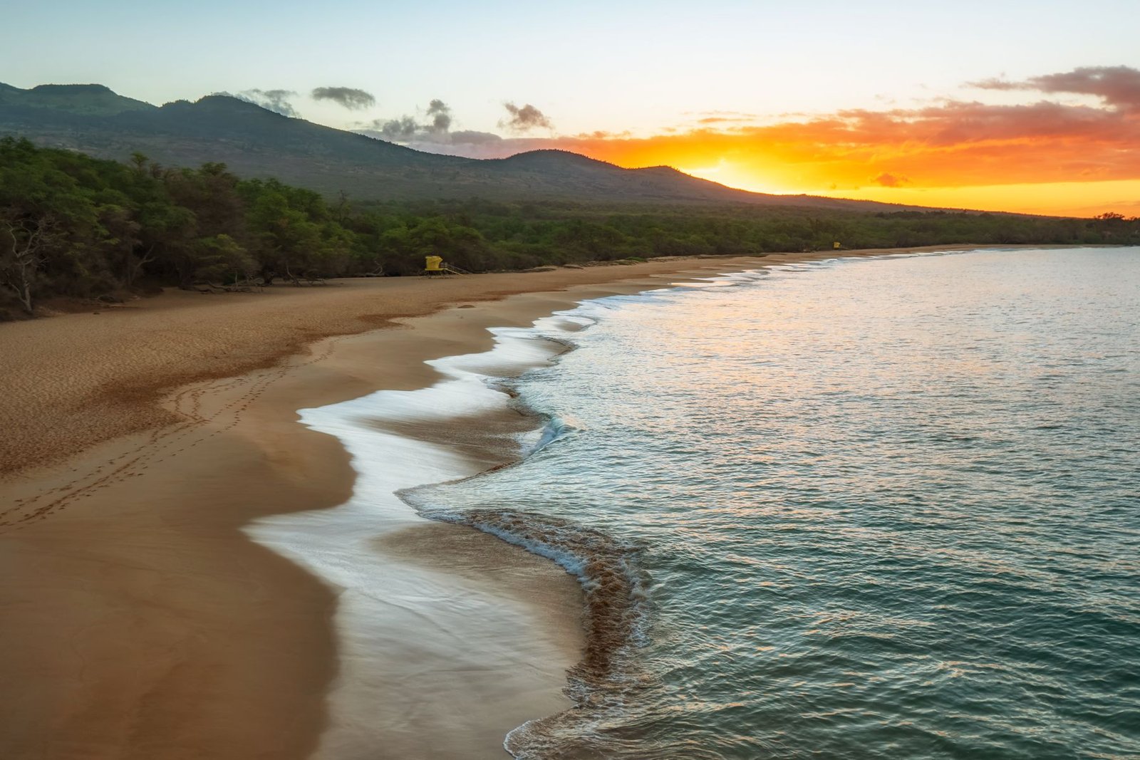 Maui beach at sunset with palm trees